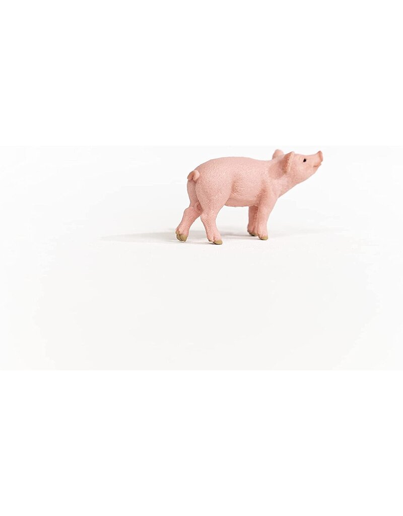 Schleich Schleich Piglet