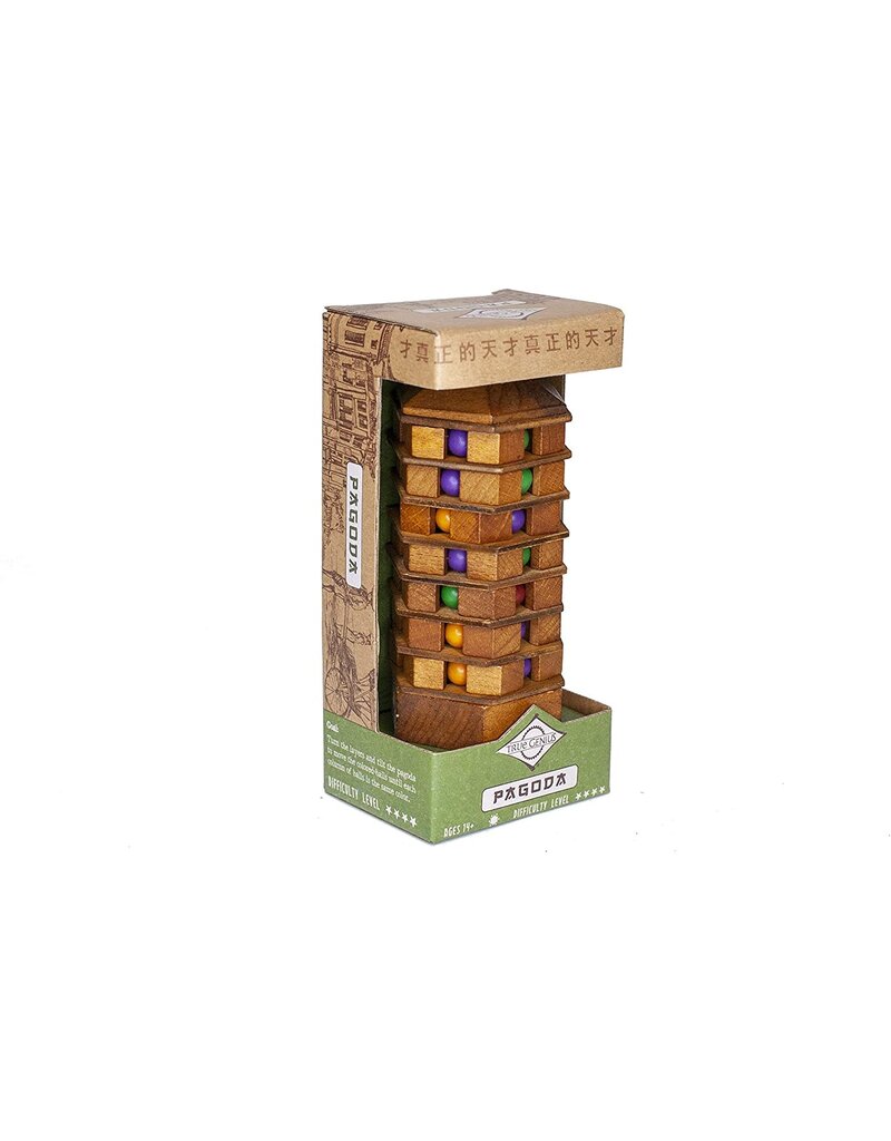 True Genius Brainteaser True Genius Chinese Pagoda