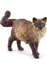 Schleich Schleich Ragdoll Cat