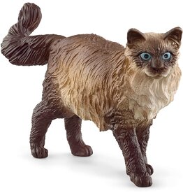 Schleich Schleich Ragdoll Cat