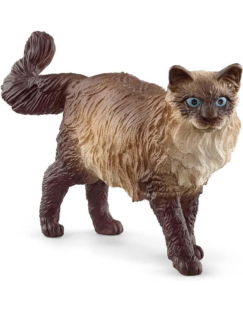 Schleich Schleich Ragdoll Cat