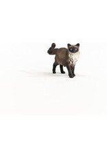 Schleich Schleich Ragdoll Cat