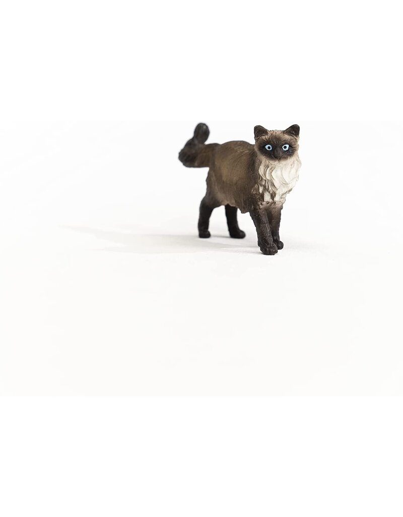 Schleich Schleich Ragdoll Cat