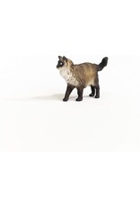 Schleich Schleich Ragdoll Cat