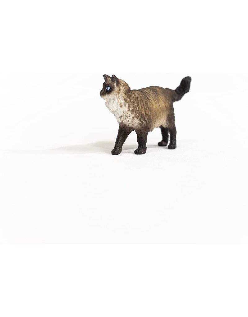 Schleich Schleich Ragdoll Cat