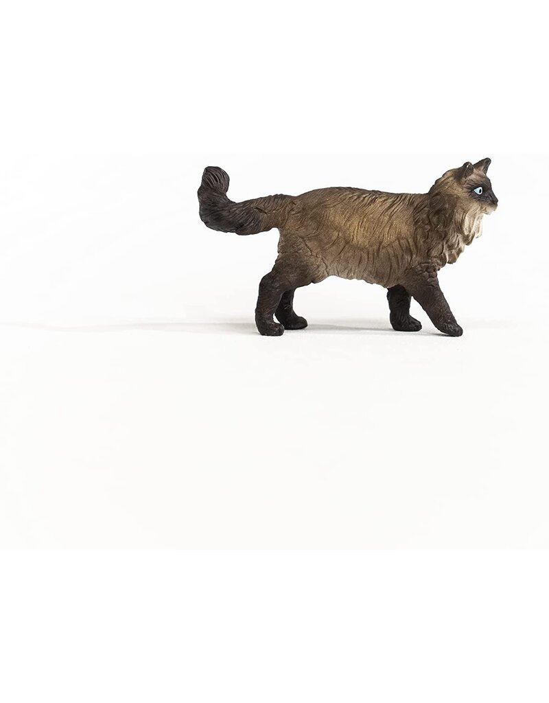 Schleich Schleich Ragdoll Cat