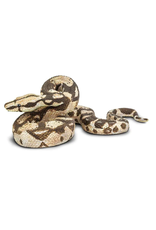 Safari Ltd. Safari Ltd. Boa Constrictor