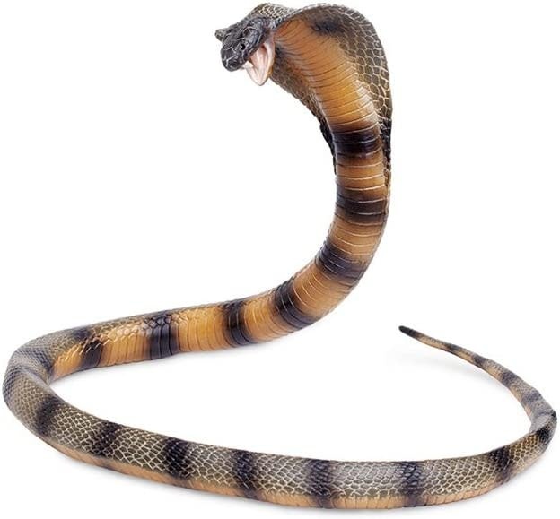 Incred Crea Cobra