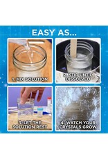 Thames & Kosmos Science Kit Crystal Growing