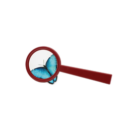 Safari Ltd. Magnifying Lens (Assorted Colors)