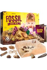 Dan&Darci Dig Kit Fossils For Kids