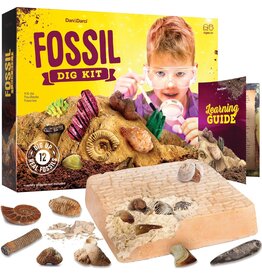Dan&Darci Dig Kit Fossils For Kids