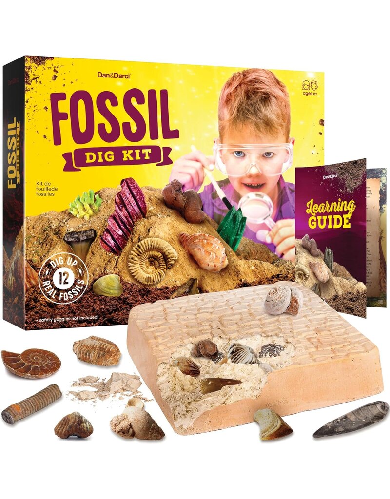 Dan&Darci Dig Kit Fossils For Kids