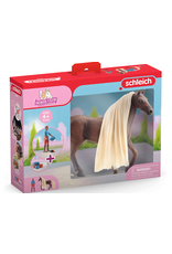 Schleich Schleich Starter  Set Leo & Rocky