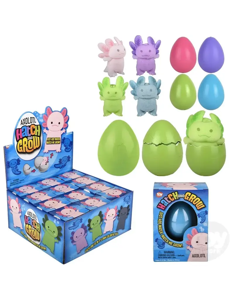 The toy network Novelty Giant  Hatch And Grow Axolotl Egg ( Sold Individually)