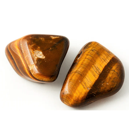 Squire Boone Village Rock/Mineral  - Tiger's Eye Tumbled  (Large)