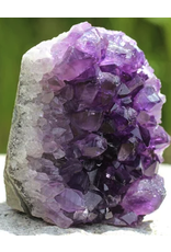 Squire Boone Village Rock/Mineral - Amethyst Druse ( 2"; Sizes and Colors Vary; Sold Individually)