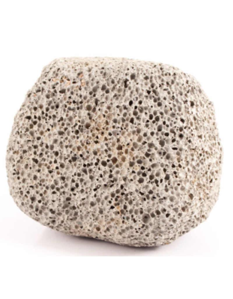 Squire Boone Village Rock/Mineral  - Pumice 2.5-3" (Medium)