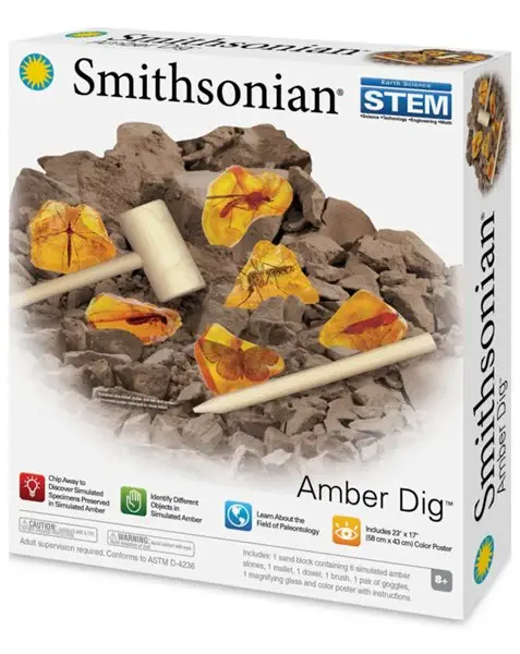 Science Kit Smithsonian Amber Dig