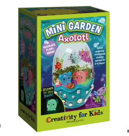 Creativity for Kids Craft Kit Mini Garden Axolotl