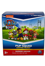 Spin Master Paw Patrol Pup Squad Surprise Figures