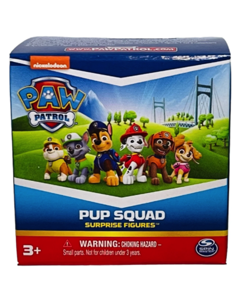Spin Master Paw Patrol Pup Squad Surprise Figures