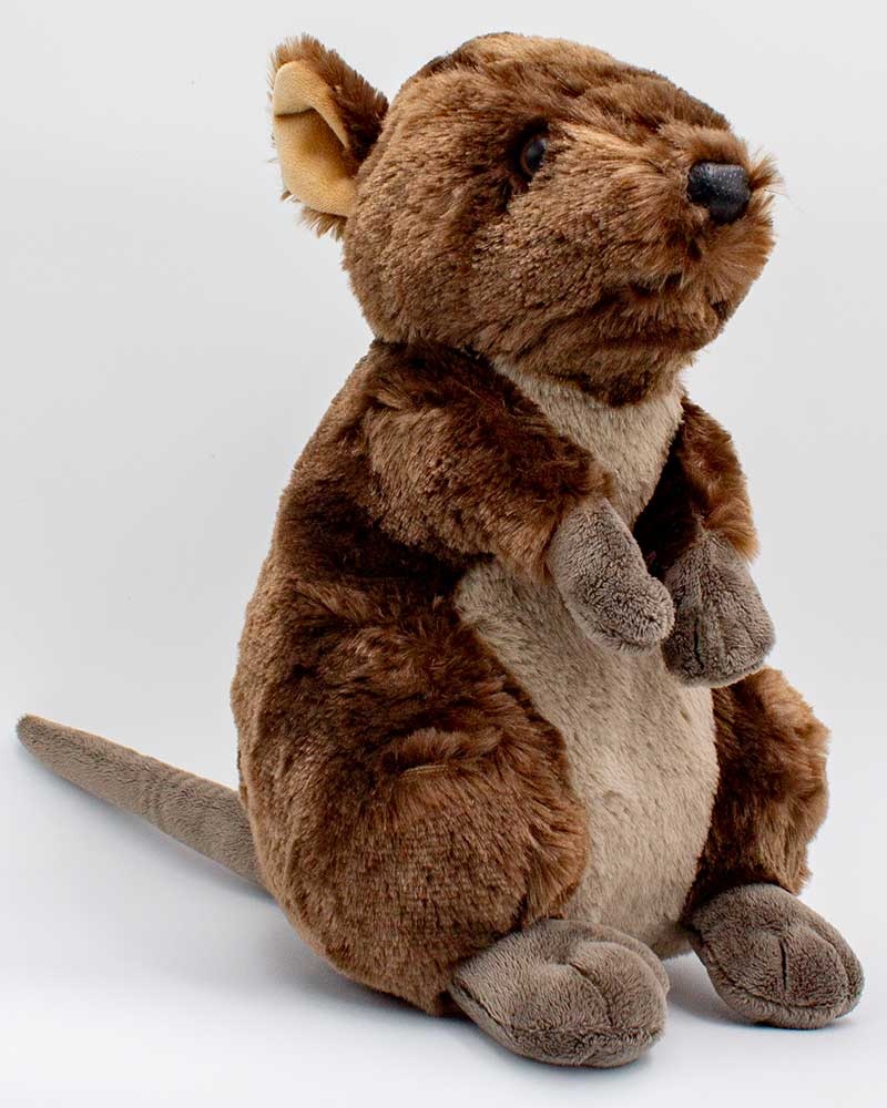 Cuddlekins Quokka
