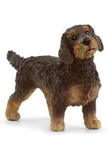 Schleich Schleich Wire-Haired Dachshund