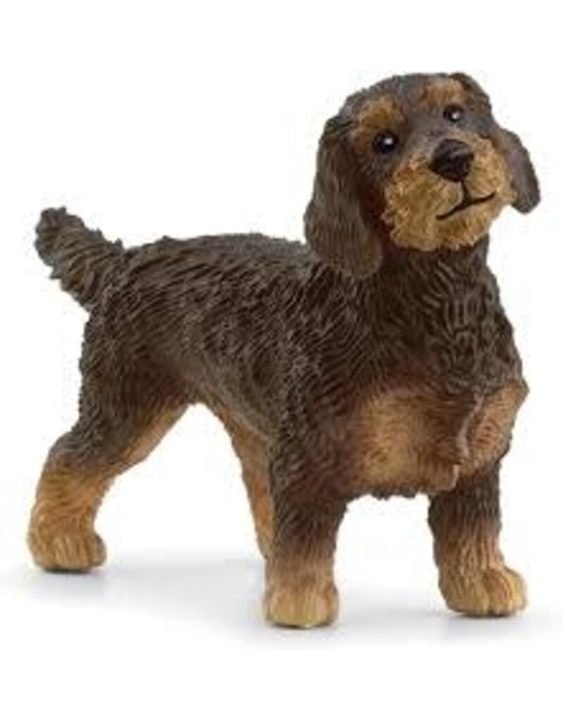Schleich Schleich Wire-Haired Dachshund