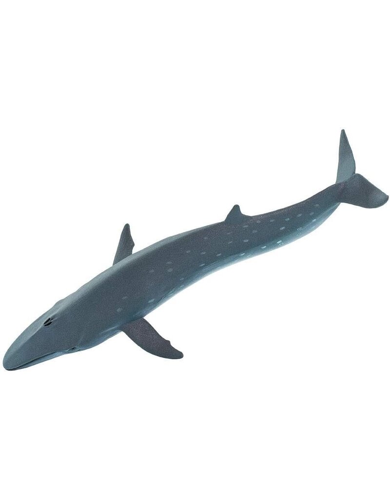 Safari Ltd. Sei Whale