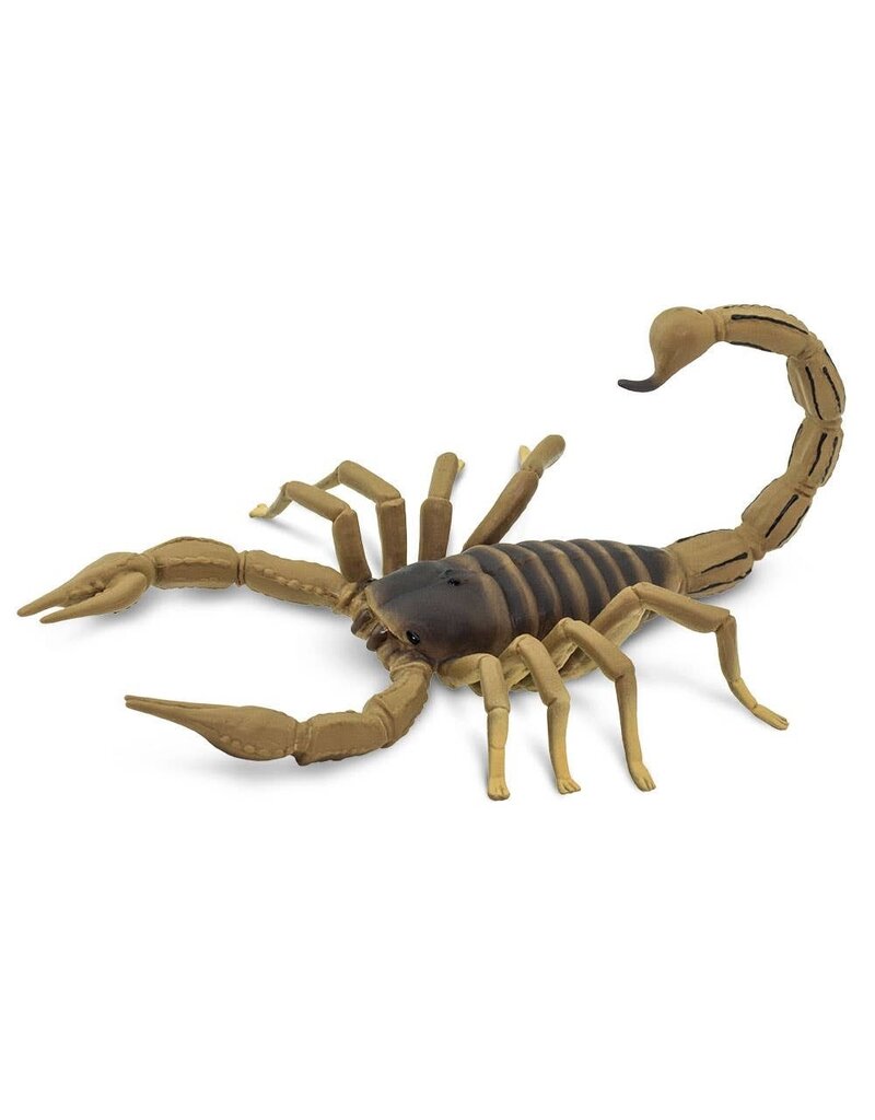 Safari Ltd. Safari Ltd. Scorpion