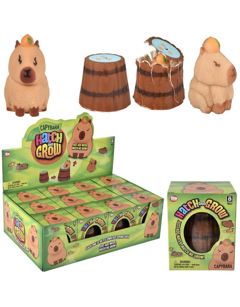 The toy network Novelty Hatch And Grow Capybara Egg (2.5"; Colors Vary; Sold Individually)