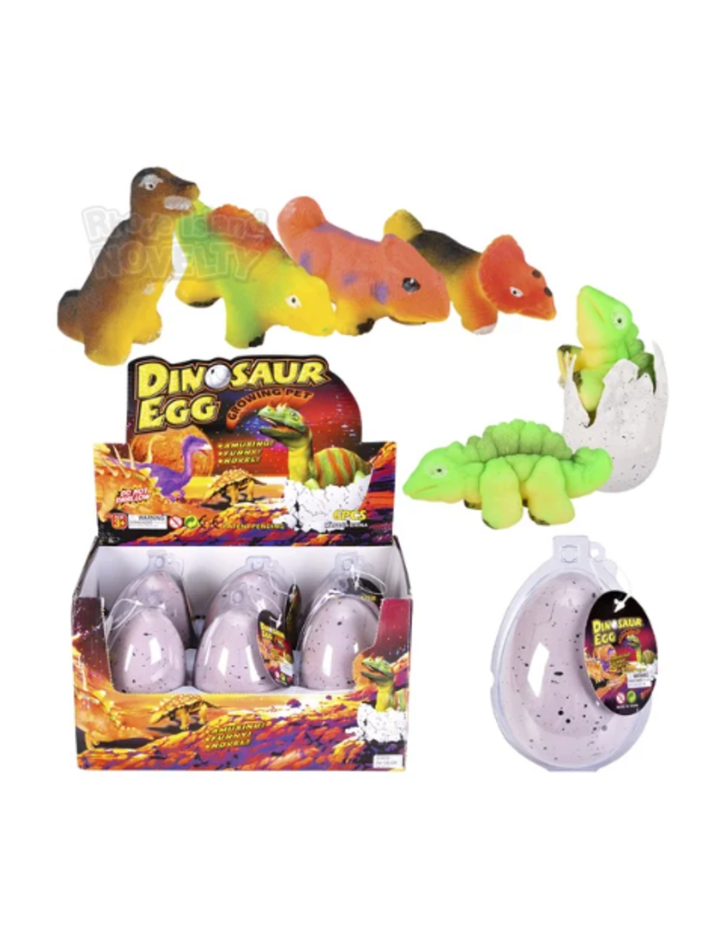 The toy network Dinosaur Egg Growing Pet