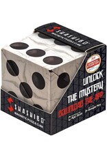 Fun In Motion Magnetic Shashibo Renaissance Dice