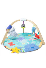 Melissa & Doug Ocean Easy-Fold Play Gym