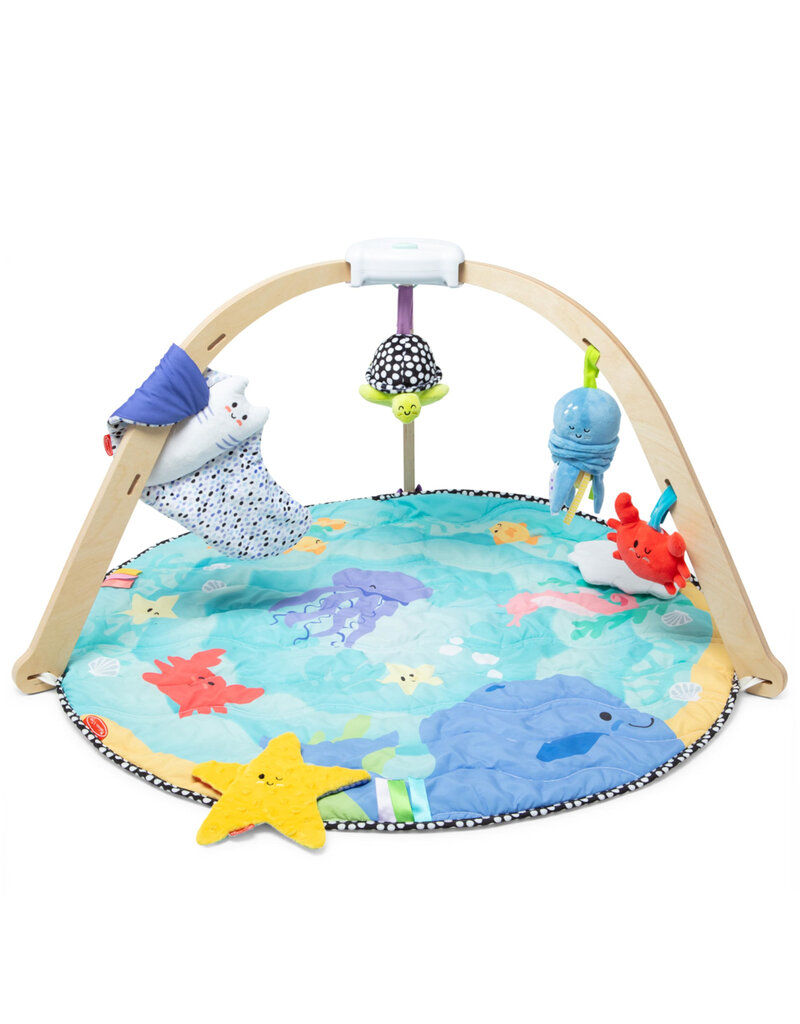 Melissa & Doug Ocean Easy-Fold Play Gym