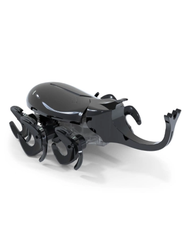 HEX BOTS Hex Bots Rhino Beetle Gray
