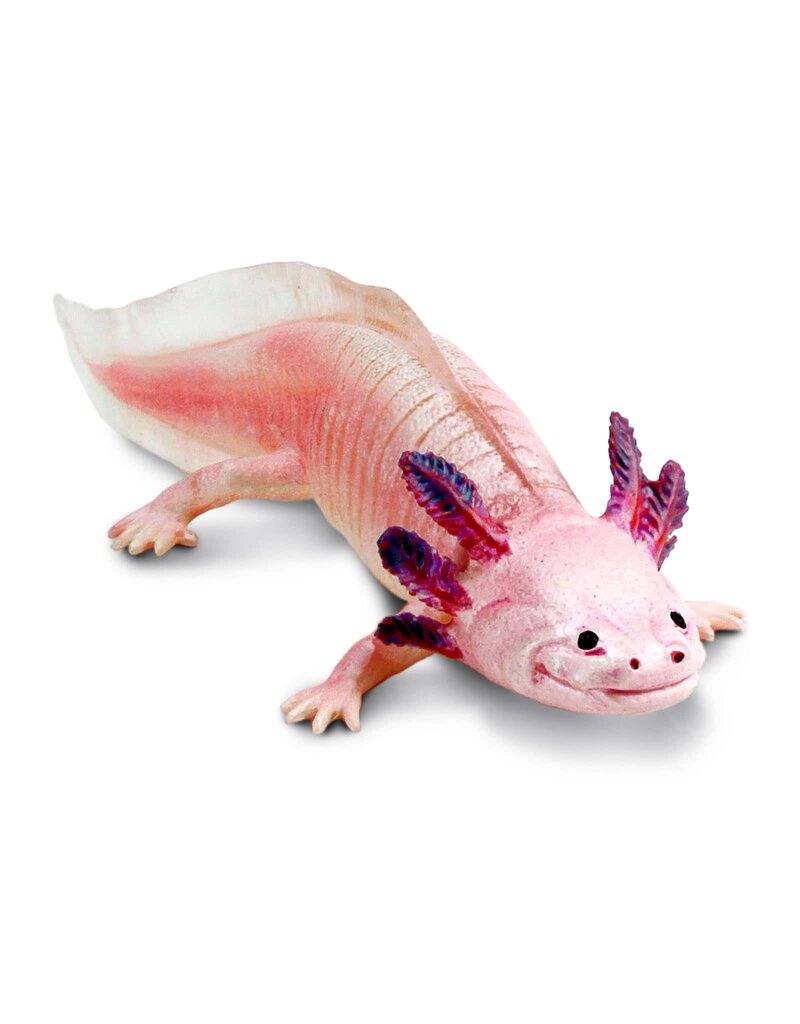 Safari Ltd. Axolotl Figure