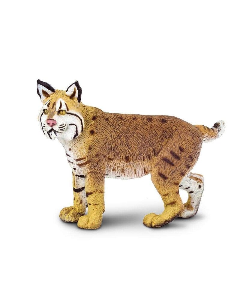 Safari Ltd. Bob Cat