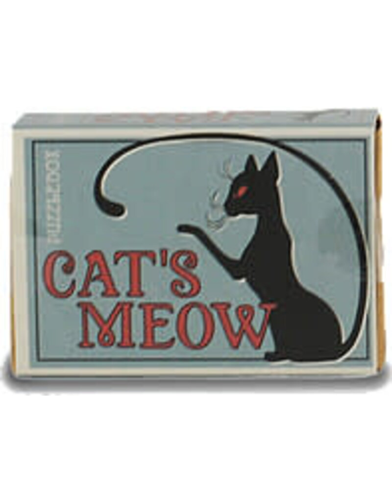 Project Genius Brainteaser - Puzzlebox - Cat's Meow