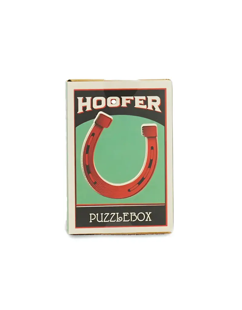 Project Genius Brainteaser - Puzzlebox - Hoofer