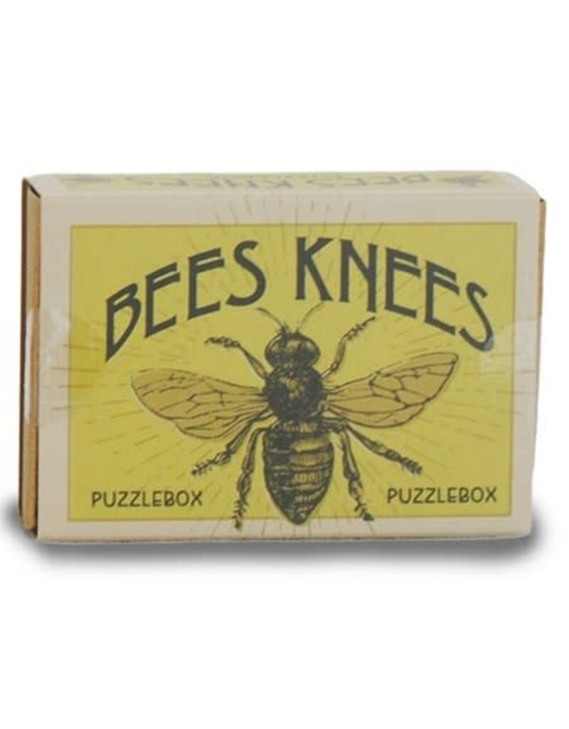 Project Genius Brainteaser - Puzzlebox - Bees Knees