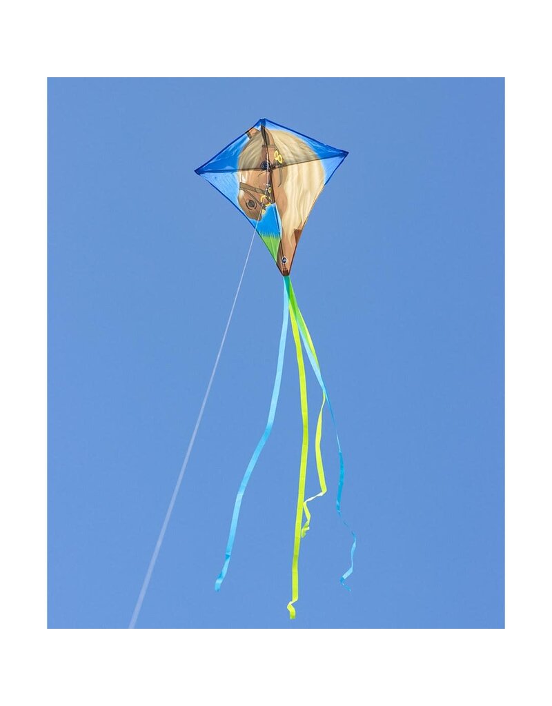 HQ Kites and Designs Kite - Eddy Horse Kite (27")