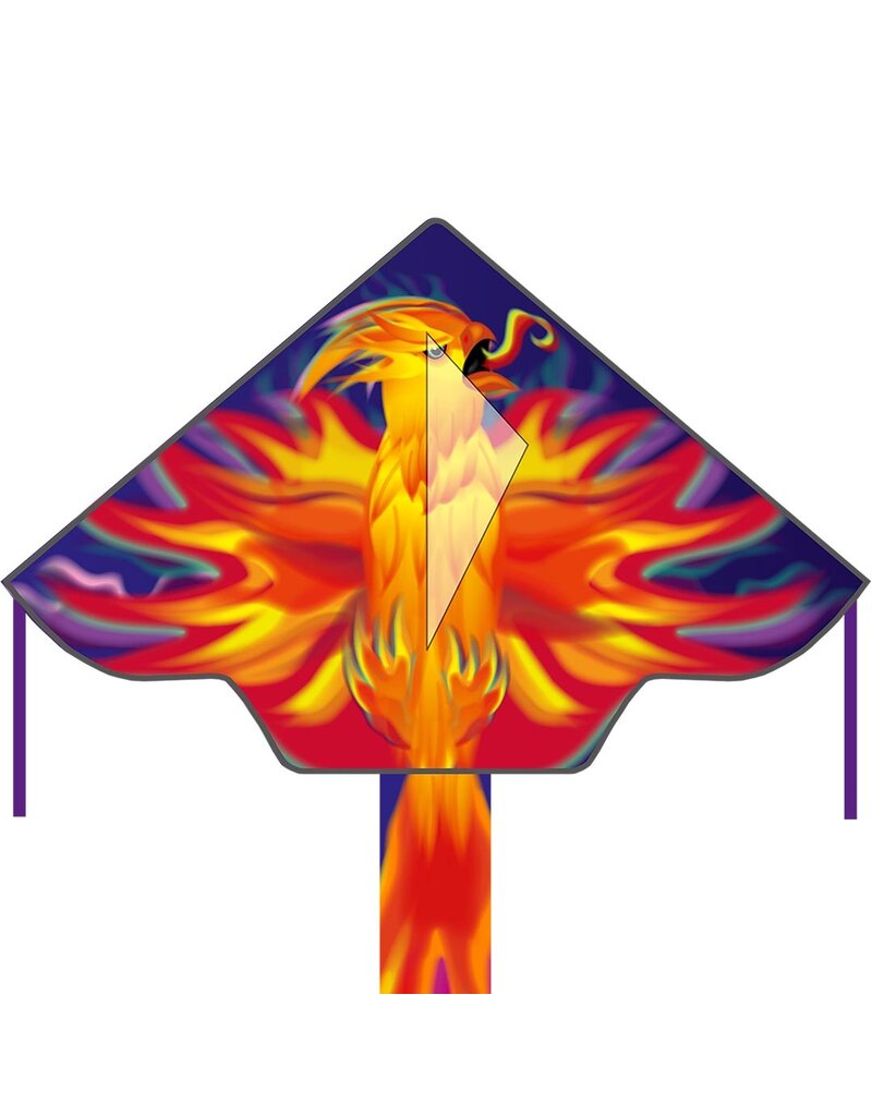 HQ Kites and Designs Ecoline Kids Phoenix 120cm
