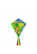 HQ Kites and Designs Ecoline Kids Eddy Froggy
