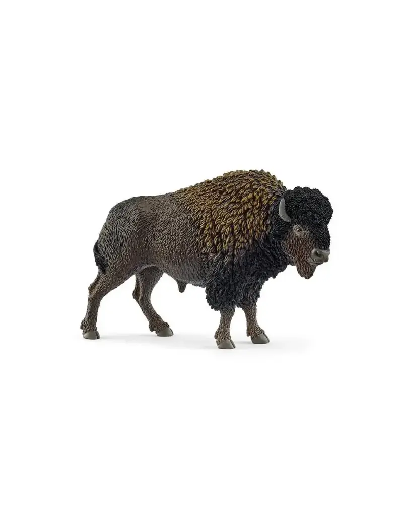 Schleich Schleich Bison