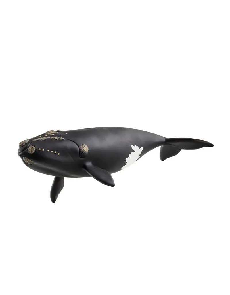 Schleich North Atlantic Right Whale