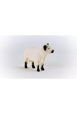 Schleich Schleich Galloway Cattle