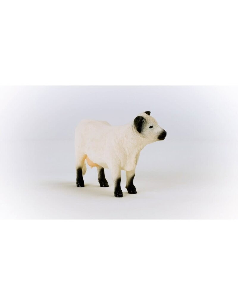 Schleich Schleich Galloway Cattle