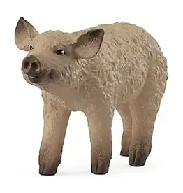 Schleich Mangalica Piglet Figure